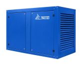 ТСС АД-250С-Т400-2РПМ5 в погодозащитном кожухе с АВР